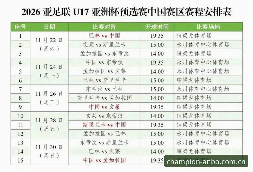 U17世界杯抽签结果深度分析：中国足球新生代的破局之战